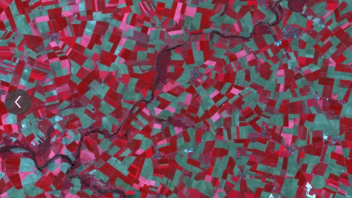 Large-scale map of agricultural fields from the Lobachevsky satellite