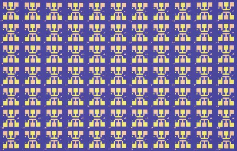 A large-area optical microscope image of a chip.