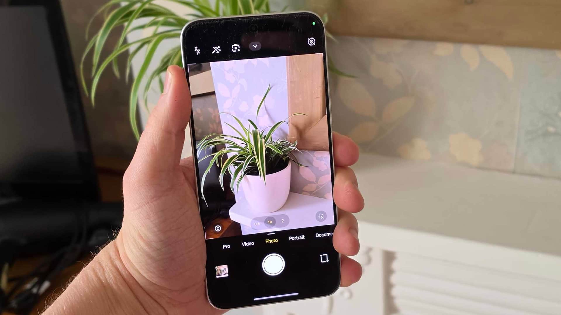 The Poco X8 Pro Max showing a plant through the camera viewfinder.