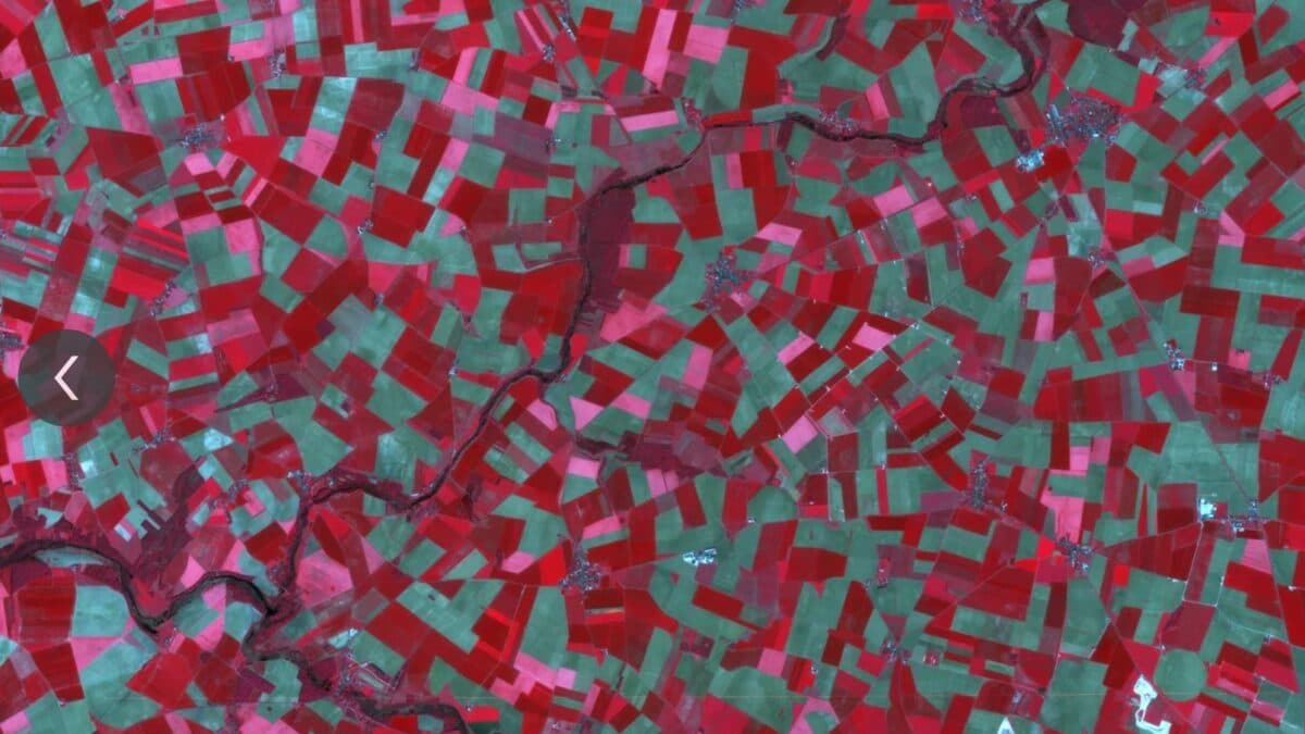 Large-scale map of agricultural fields from the Lobachevsky satellite
