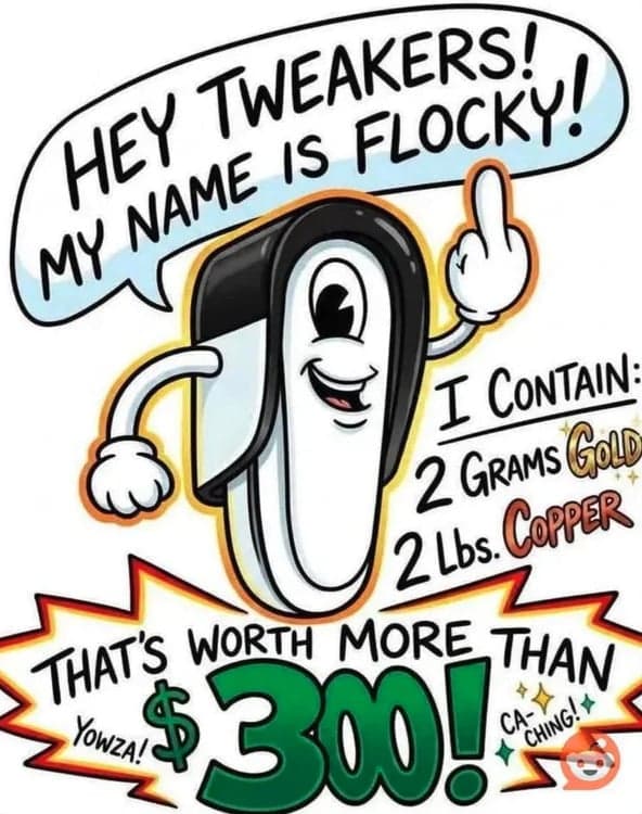 A message to thieves that there's resell value in Flock cameras.