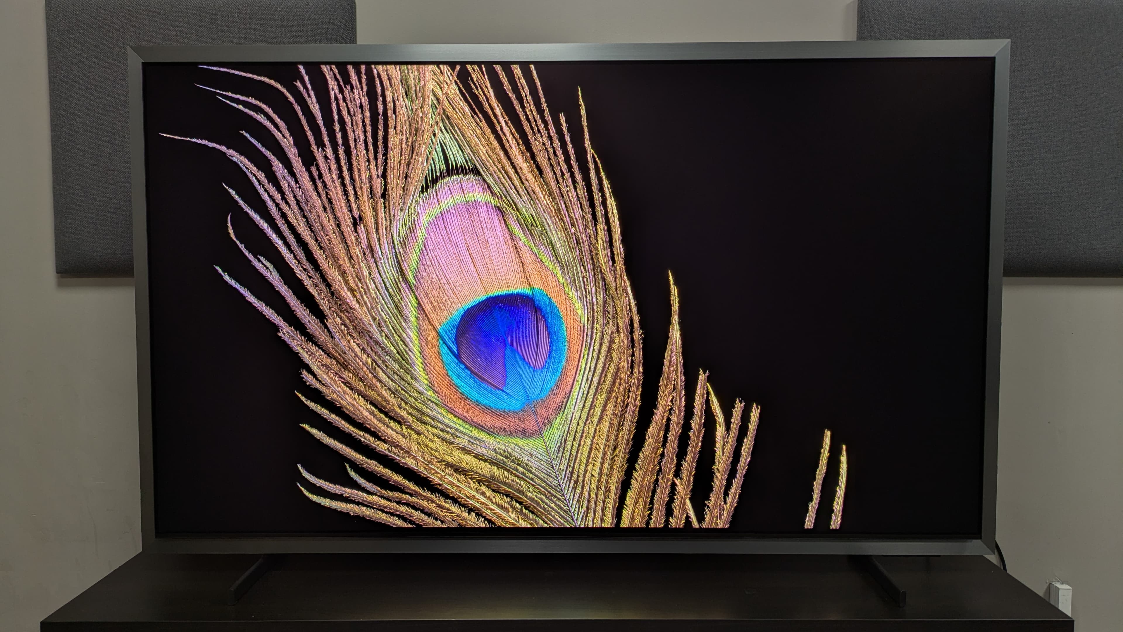 Samsung S95H with a peacock feather on screen, showing strong color and detail