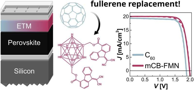 Carborane-based electron transport material enables a high-efficiency, fullerene-free monolithic perovskite/silicon tandem solar cell. Credit: Energy & Environmental Science (2026). DOI: 10.1039/d6ee01246a