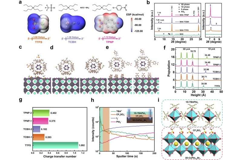 Mecanismo de reconstrucción superficial zwitteriónica. Crédito: Nature Communications (2026). DOI: 10.1038/s41467-026-72099-z