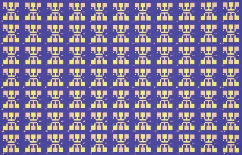 A large-area optical microscope image of a chip.