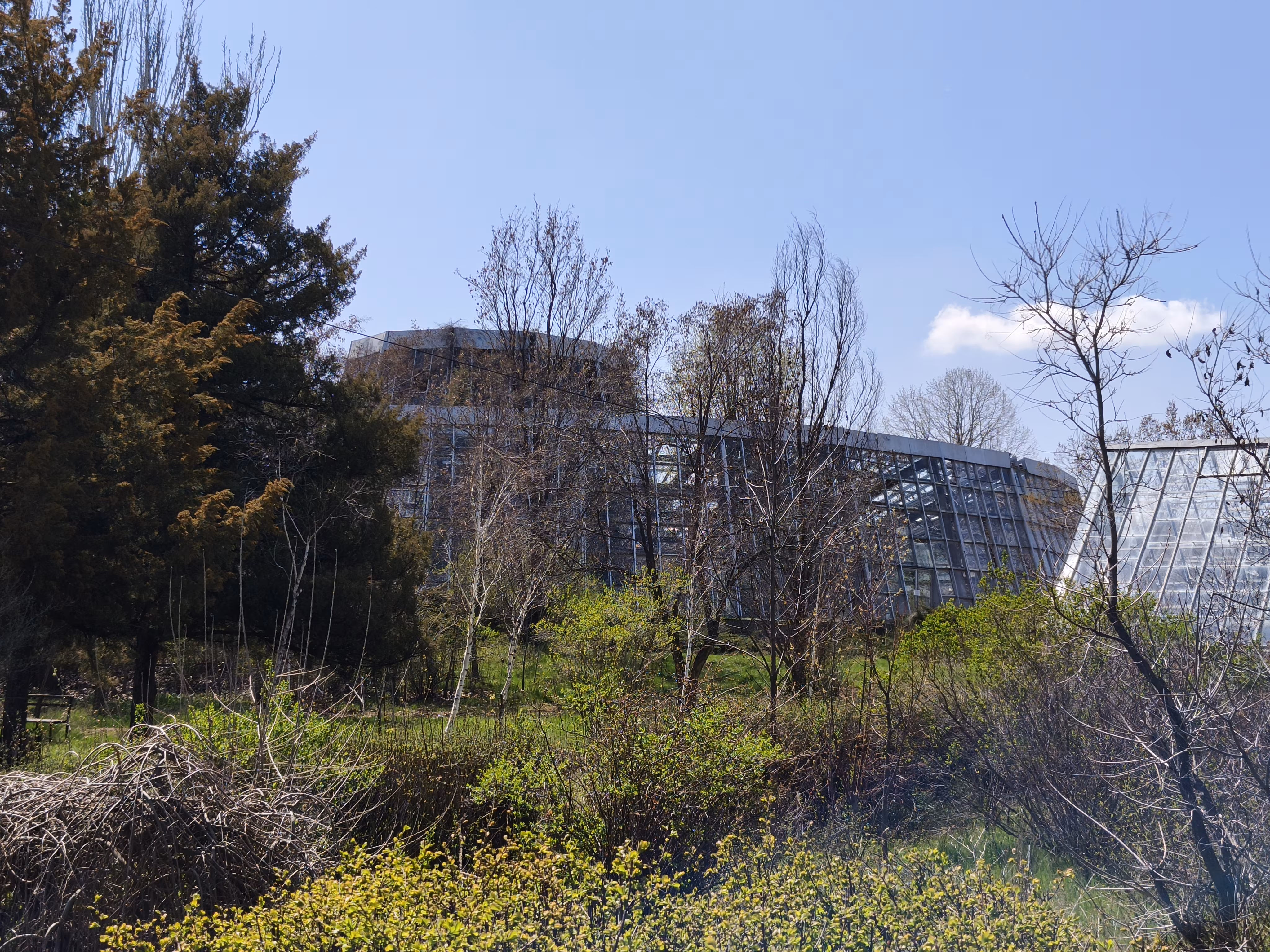 Photo sample