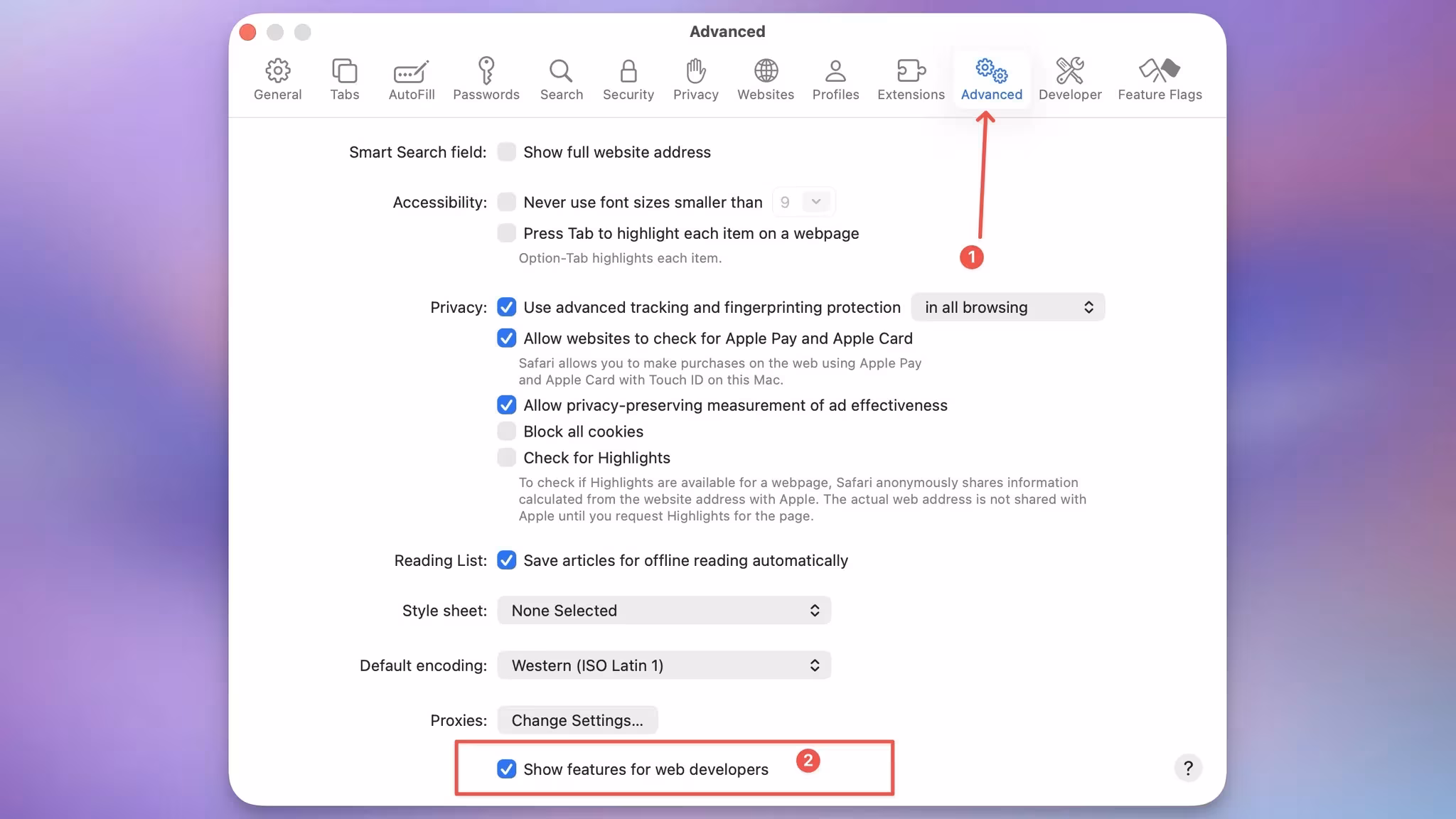 Safari advanced settings with developer menu enabled