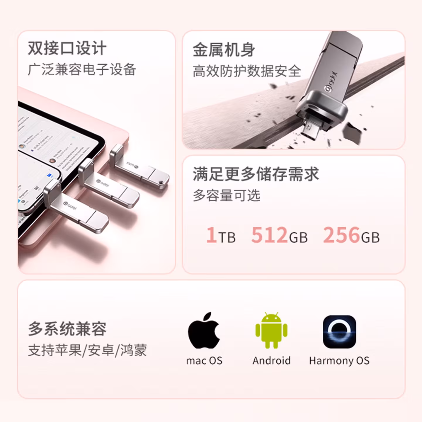 ASUS Adol PM310 flash drive with USB-C and USB-A cables